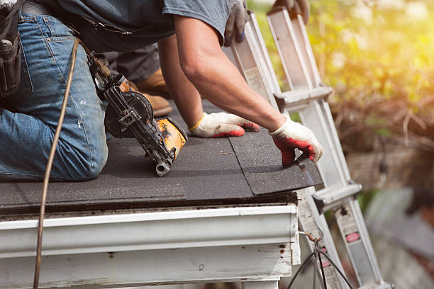 Best Metal Roofing Contractor  in Frewsburg, NY