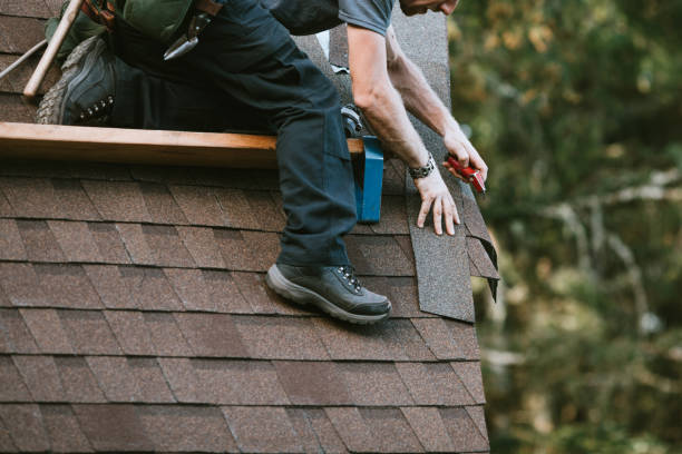 Best Metal Roofing Contractor  in Frewsburg, NY